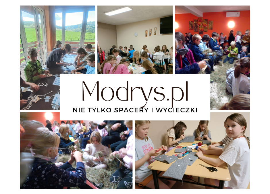 Zajęcia Niecodzienne w Modrysie